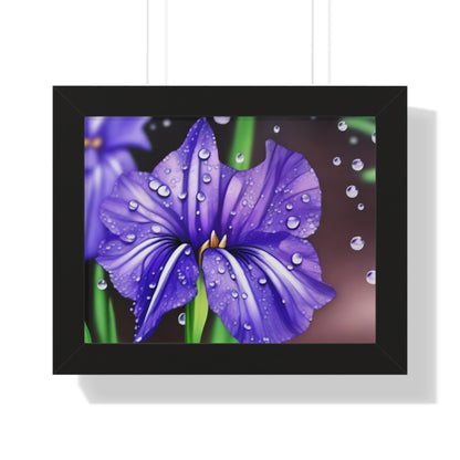 Purple Rain Iris Framed Horizontal Poster