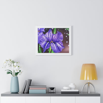 Purple Rain Iris Framed Horizontal Poster